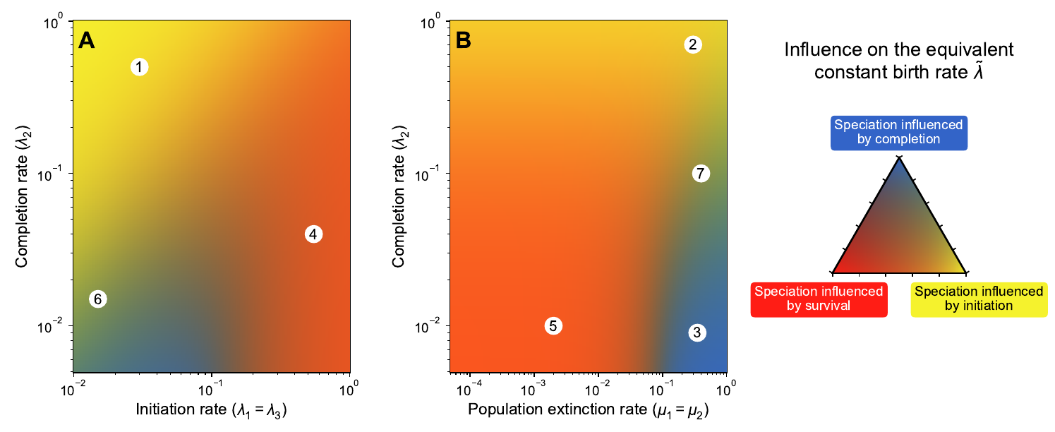 Influence on the speciation rate